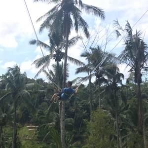 Meet your Posher, Collin